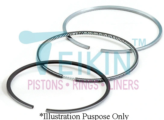 Piston Ring Kit (R-48605.STD)