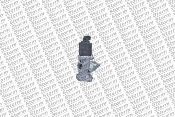 EGR Valve (9032)