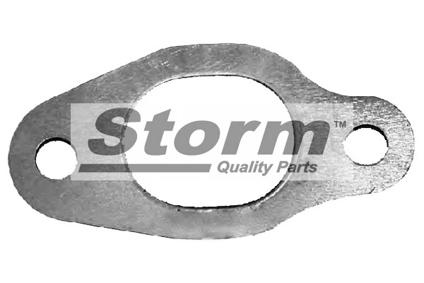 Gasket, exhaust manifold (F2780)