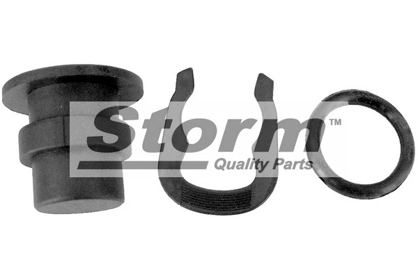 Sealing Plug, coolant flange (F2050)