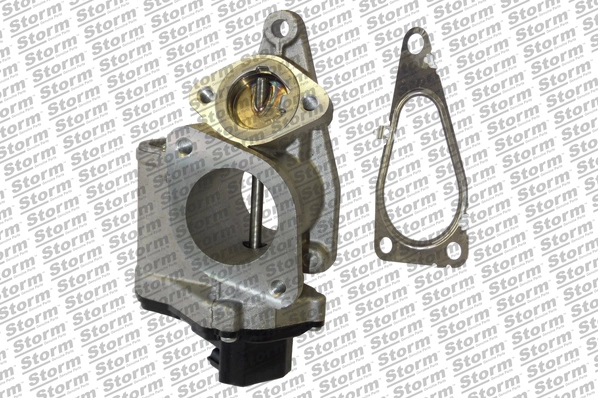EGR Valve (9053)