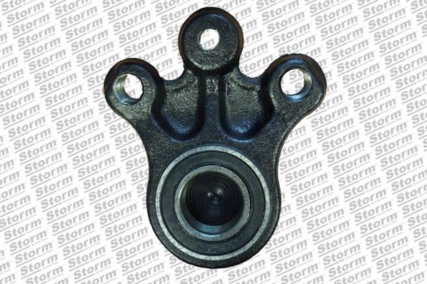 Ball Joint (79786)