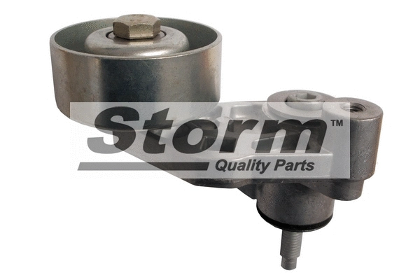 Belt Tensioner, V-ribbed belt (F10340)