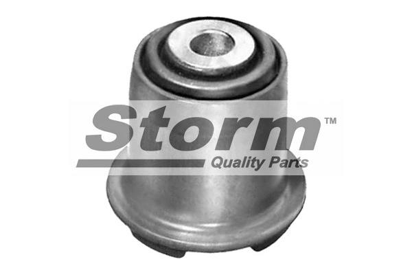 Mounting, control/trailing arm (F1976)