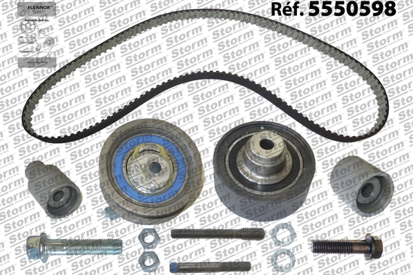 Timing Belt Kit (5550598)