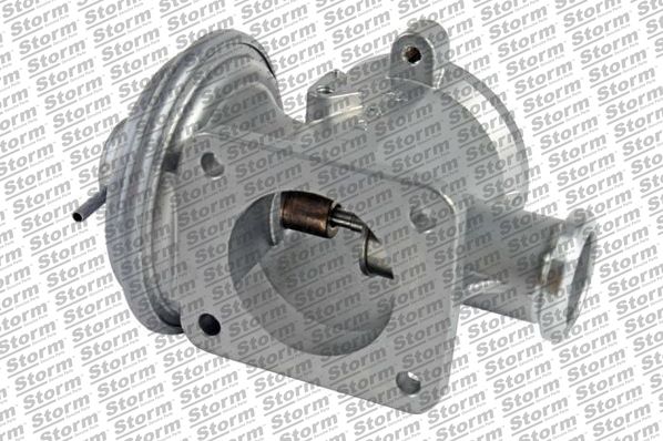 EGR Valve (9079)