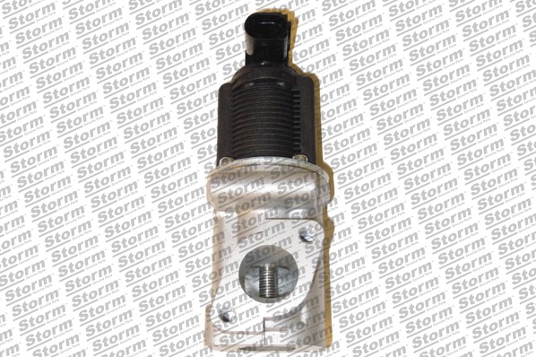 EGR Valve (9024)