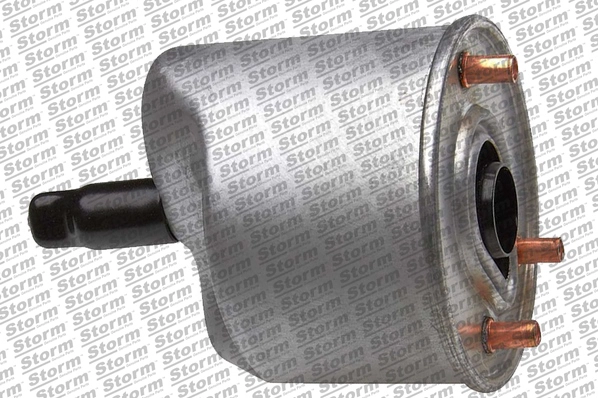 Fuel Filter (10812)