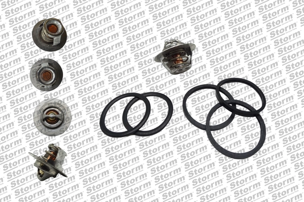 Thermostat, coolant (199026)