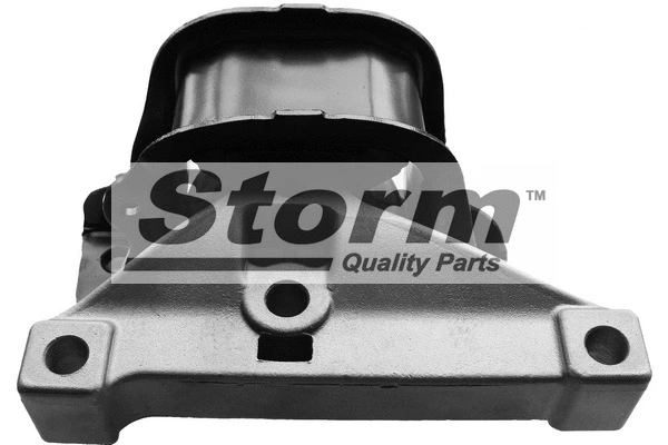 Mounting, engine (F10109)