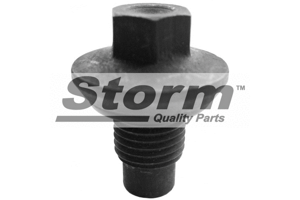 Screw Plug, oil sump (F2043)
