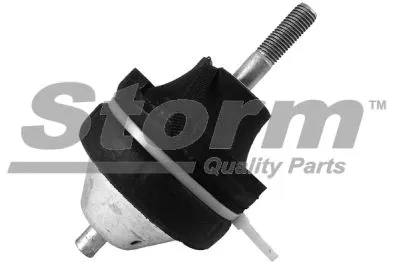 Mounting, engine (F10059)