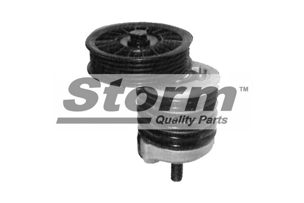 Belt Tensioner, V-ribbed belt (F4334)