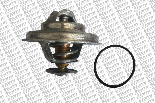 Thermostat, coolant (199069)
