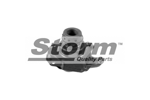 Mounting, engine (F2489)