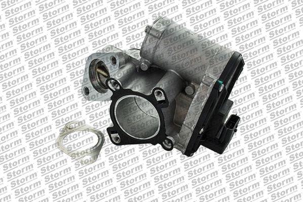 EGR Valve (9093)