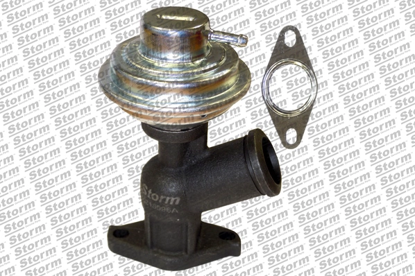 EGR Valve (9048)