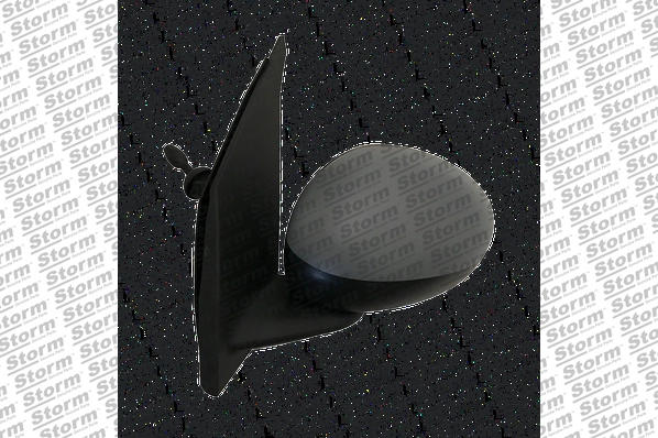 Exterior Mirror (2099001)