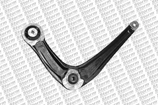 Control/Trailing Arm, wheel suspension (79858)