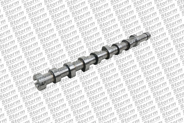 Camshaft (299700)
