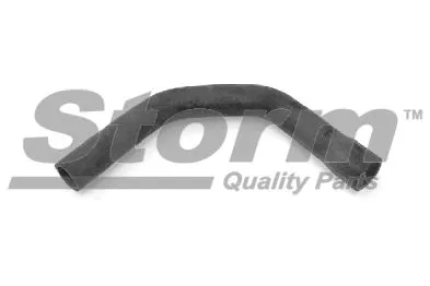 Radiator Hose (F8836)