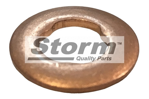 Heat Shield, injection system (46000000918)