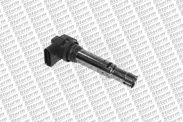 Ignition Coil (880006)