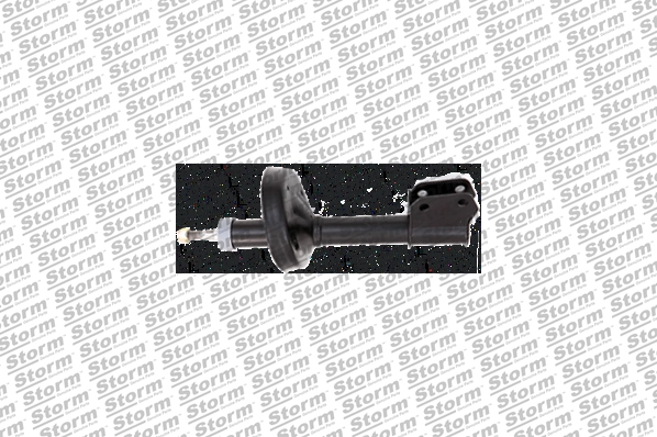 Shock Absorber (810885)