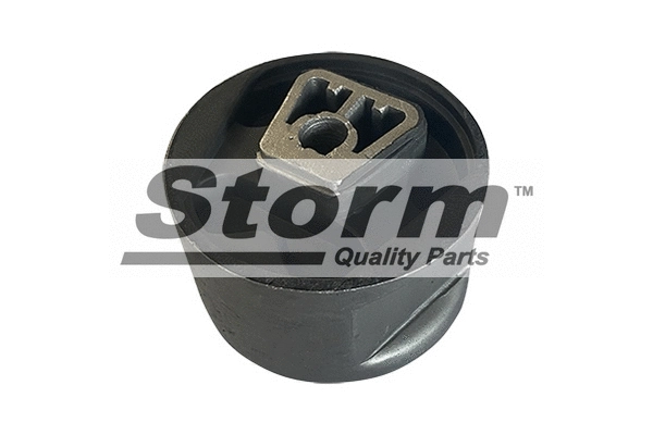 Holder, engine mounting system (F2261)