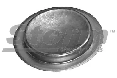 Cap, carburettor (F2789)