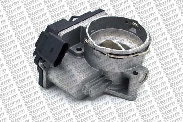 Throttle Body (972105)