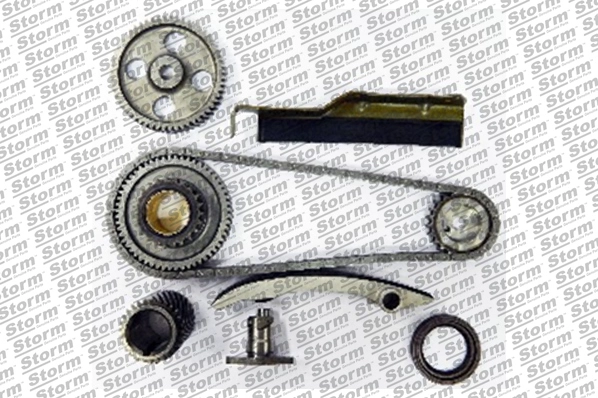 Timing Chain Kit (KITC555035)