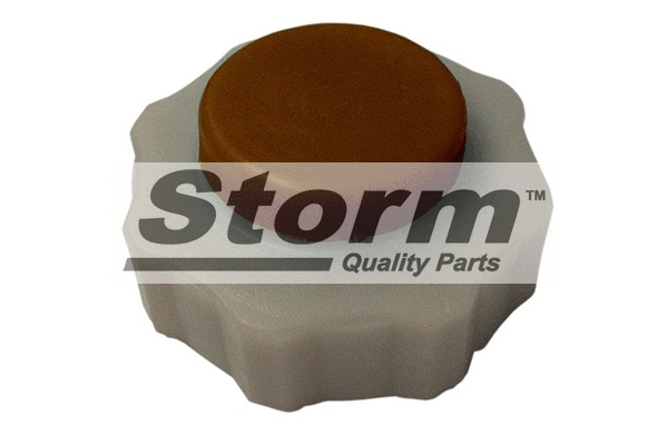 Cap, coolant tank (TB210)