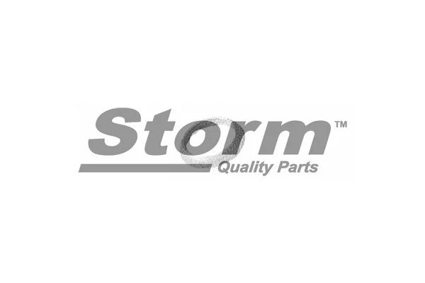 Mounting Kit, muffler (F1605)