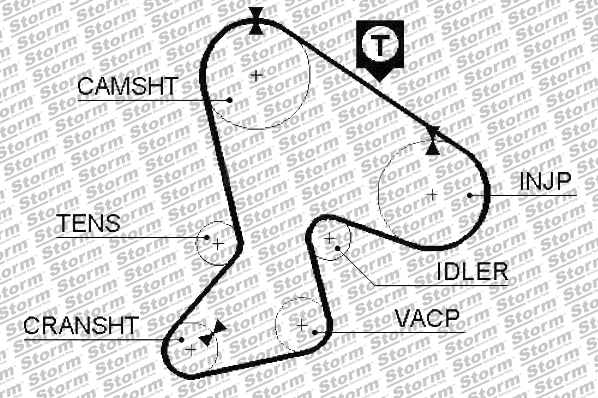 Timing Belt Kit (5550394)