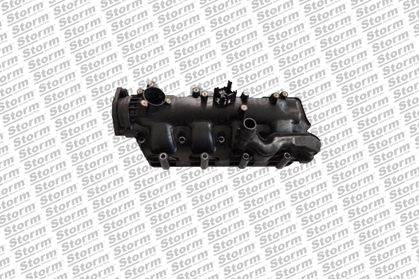 Intake Manifold Module (516520)