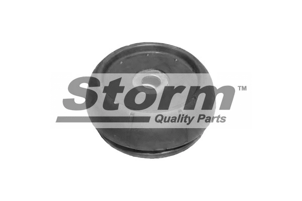 Suspension Strut Support Mount (F1974)
