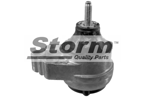 Mounting, engine (F2496)
