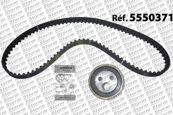 Timing Belt Kit (5550371)