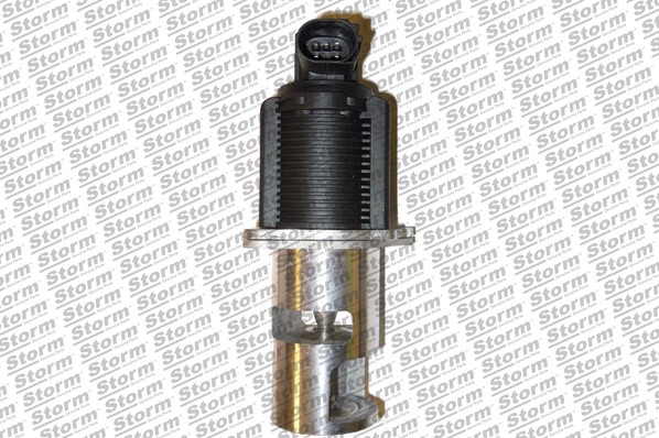 EGR Valve (9023)