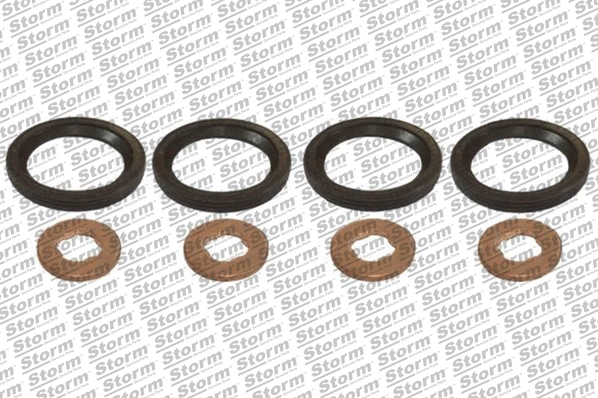 Seal Kit, injector nozzle (460011)