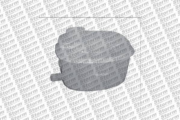 Expansion Tank, coolant (F9936)