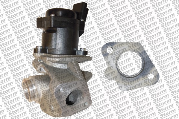 EGR Valve (9021)