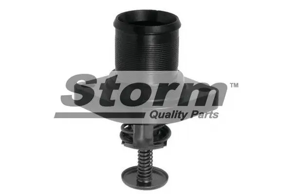 Thermostat, coolant (199050)