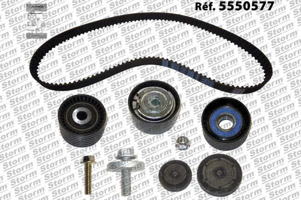 Timing Belt Kit (5550577)