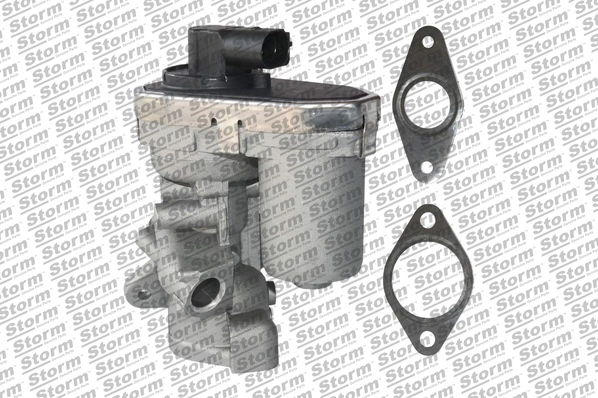 EGR Valve (9040)