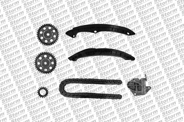 Timing Chain Kit (KITC555039)