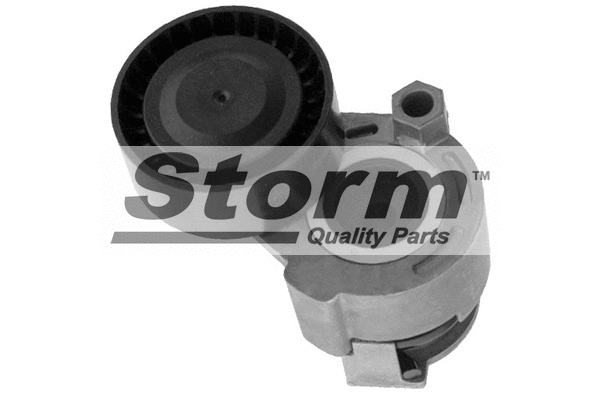 Belt Tensioner, V-ribbed belt (F10070)