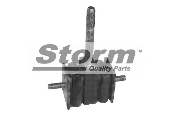 Mounting, engine (F0506)