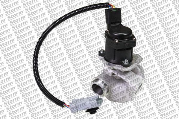 EGR Valve (9077)